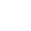 Language